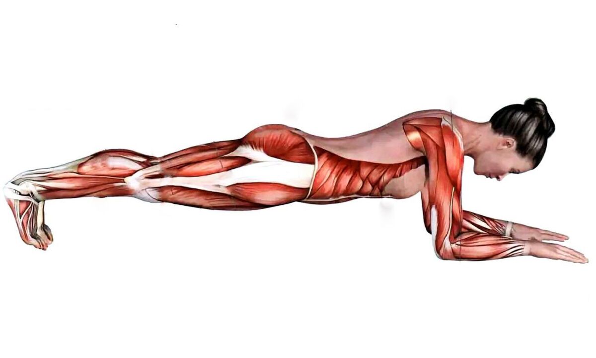 qué músculos trabajan cuando el tablero